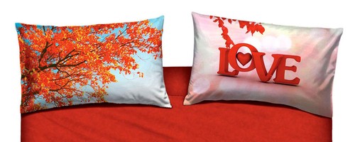 Love everywhere federa - love,